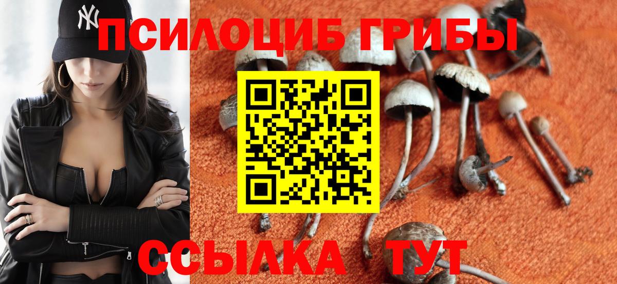 Псилоцибиновые грибы Psilocybine cubensis Малгобек