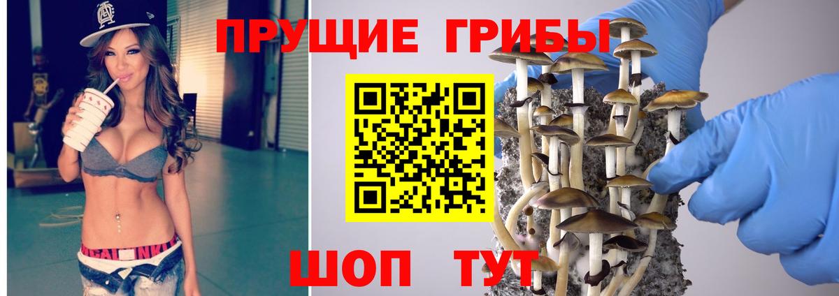 Псилоцибиновые грибы Psilocybine cubensis  Вход с VPN  Малгобек 