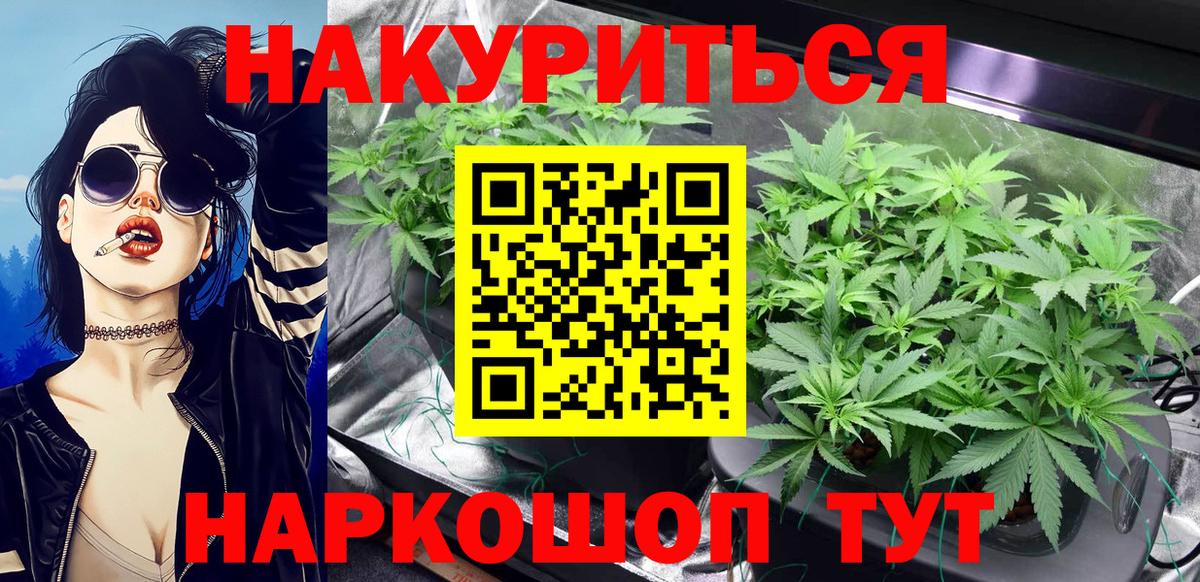Малгобек  Марихуана OG Kush  Марихуана план  Вход с VPN 